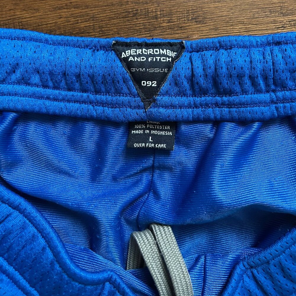 Abercrombie and Fitch gym basketball mens blue shorts L large - Picture 2 of 5